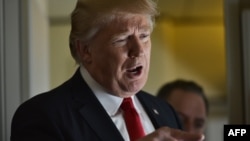  Вашингтон --Трамп, Цхьаьнатоьхначу Штатийн Президент