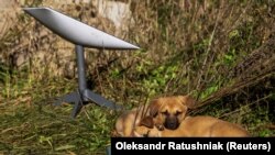 13 січня повідомлялося, що в Україні працюють близько 30 тисяч терміналів Starlink